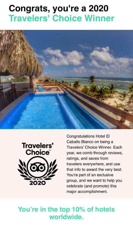 Hotel El Caballo Blanco Mahahual Exteriér fotografie