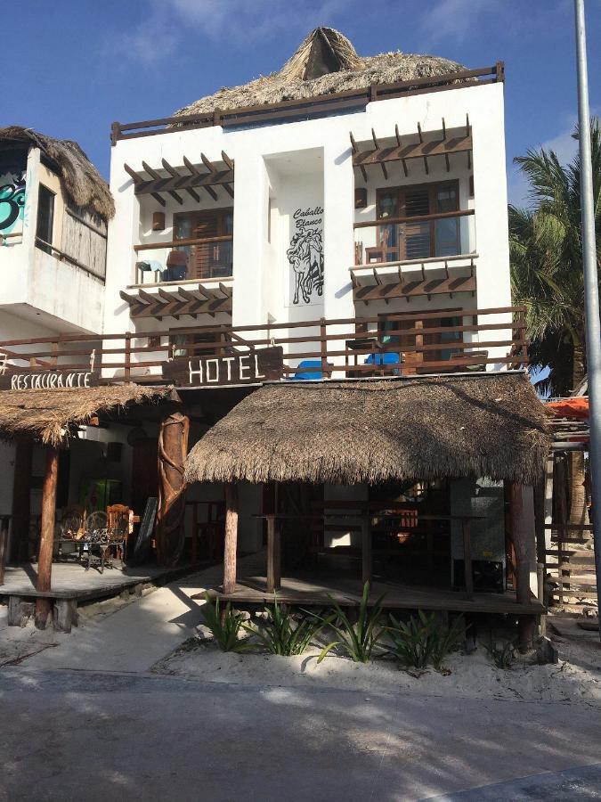 Hotel El Caballo Blanco Mahahual Exteriér fotografie