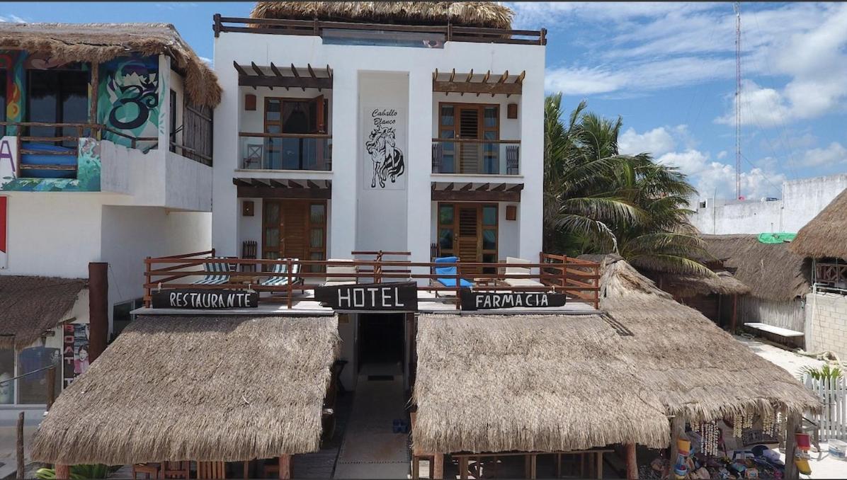 Hotel El Caballo Blanco Mahahual Exteriér fotografie