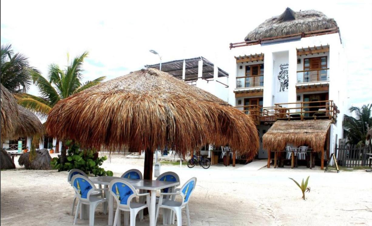 Hotel El Caballo Blanco Mahahual Exteriér fotografie